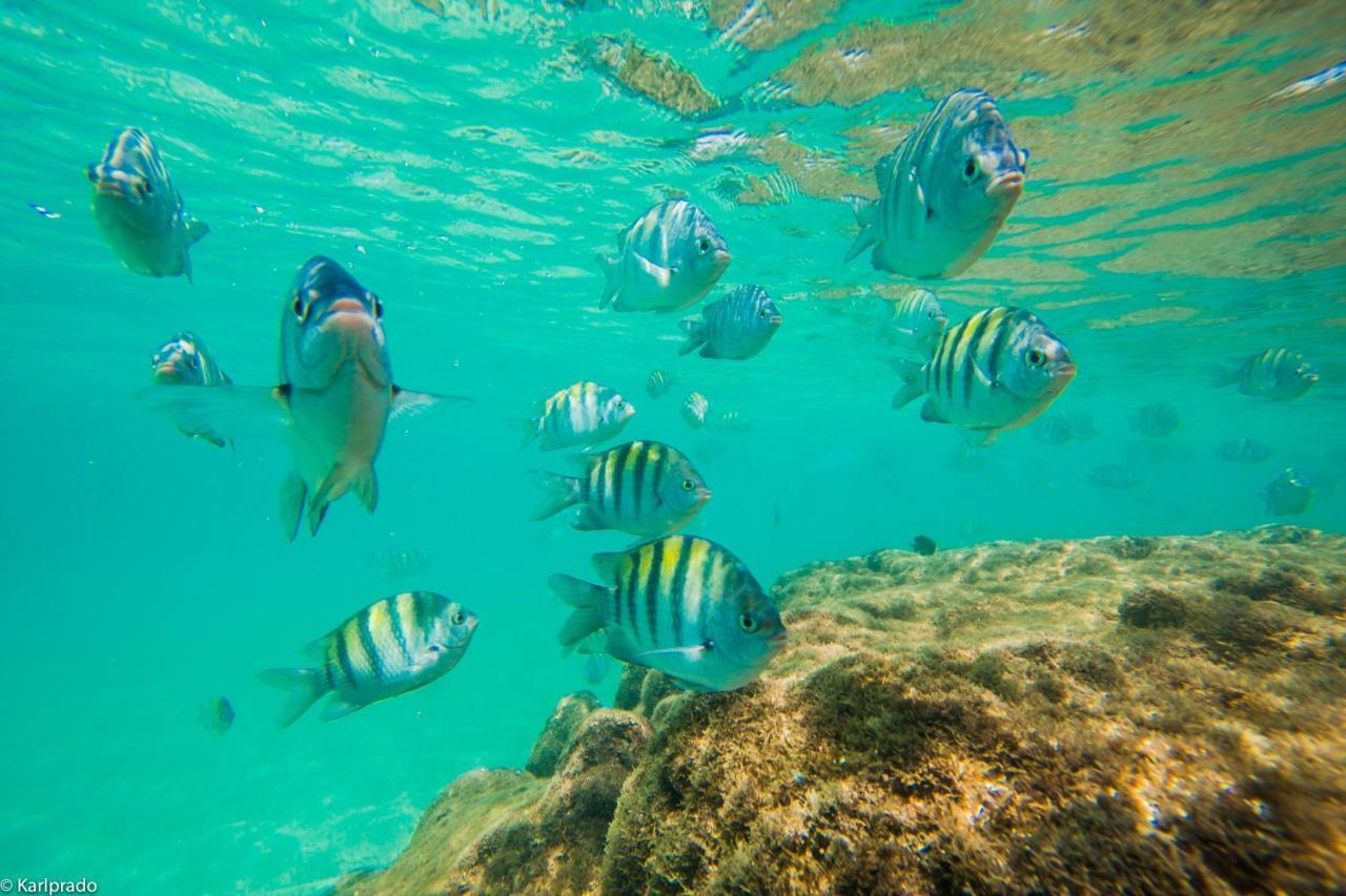 Apartamento - Porto De Galinhas Bagian luar foto